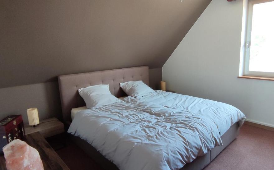 Le Strasbourgeois Apartman Illkirch-Graffenstaden Kültér fotó