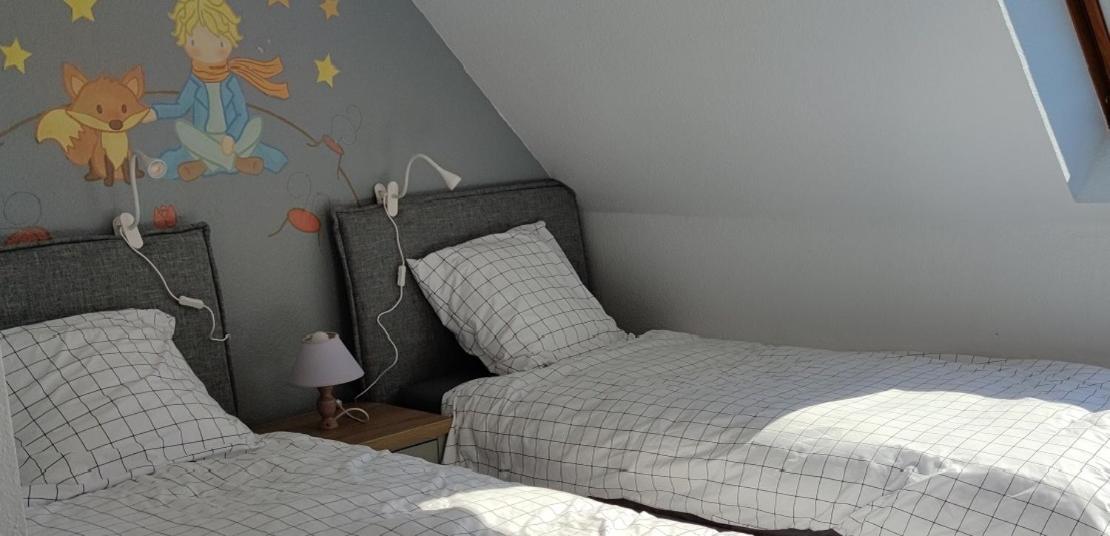 Le Strasbourgeois Apartman Illkirch-Graffenstaden Kültér fotó