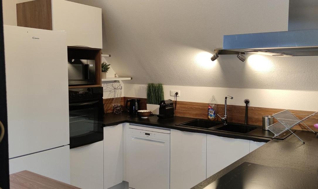 Le Strasbourgeois Apartman Illkirch-Graffenstaden Kültér fotó