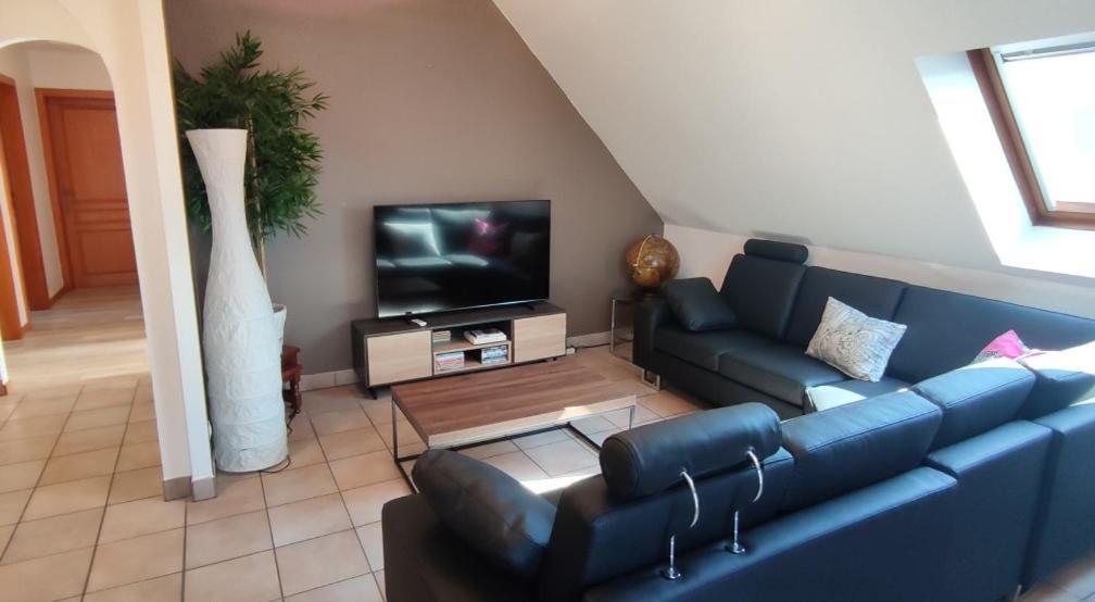 Le Strasbourgeois Apartman Illkirch-Graffenstaden Kültér fotó