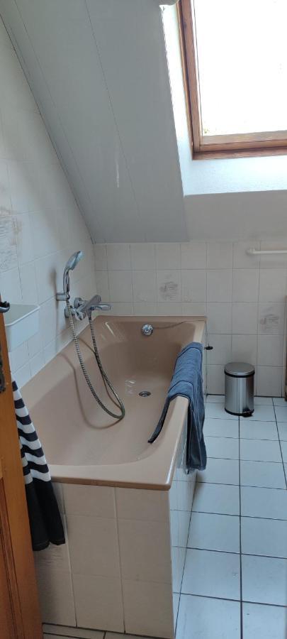 Le Strasbourgeois Apartman Illkirch-Graffenstaden Kültér fotó